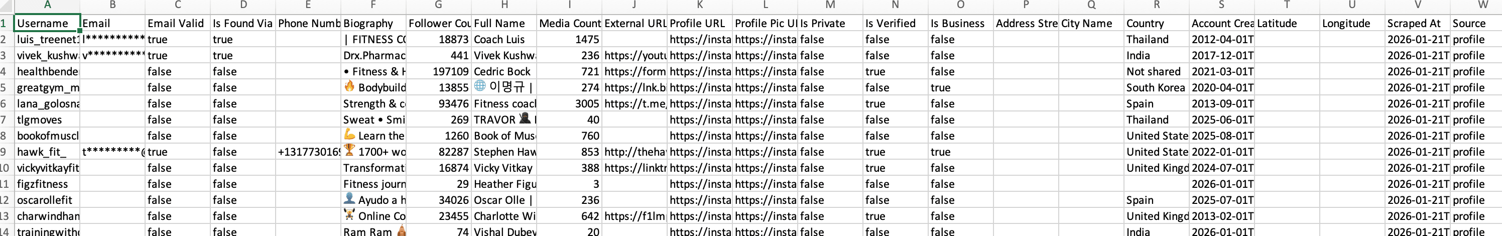 Excel spreadsheet showing exported lead data with all columns